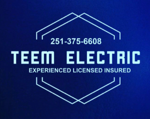 Teem Electric - Logo