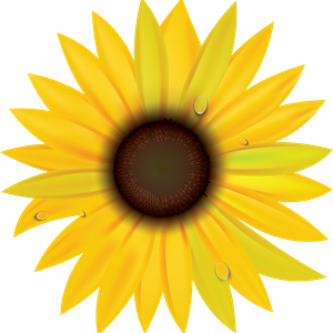 Mirasol Senior Community