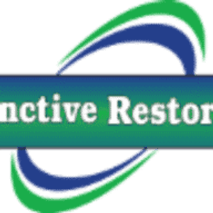 Distinctive Restoration - Logo