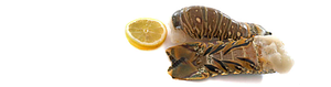 Keys Fisheries