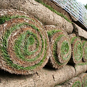 Turf Master Sod Farms - Logo