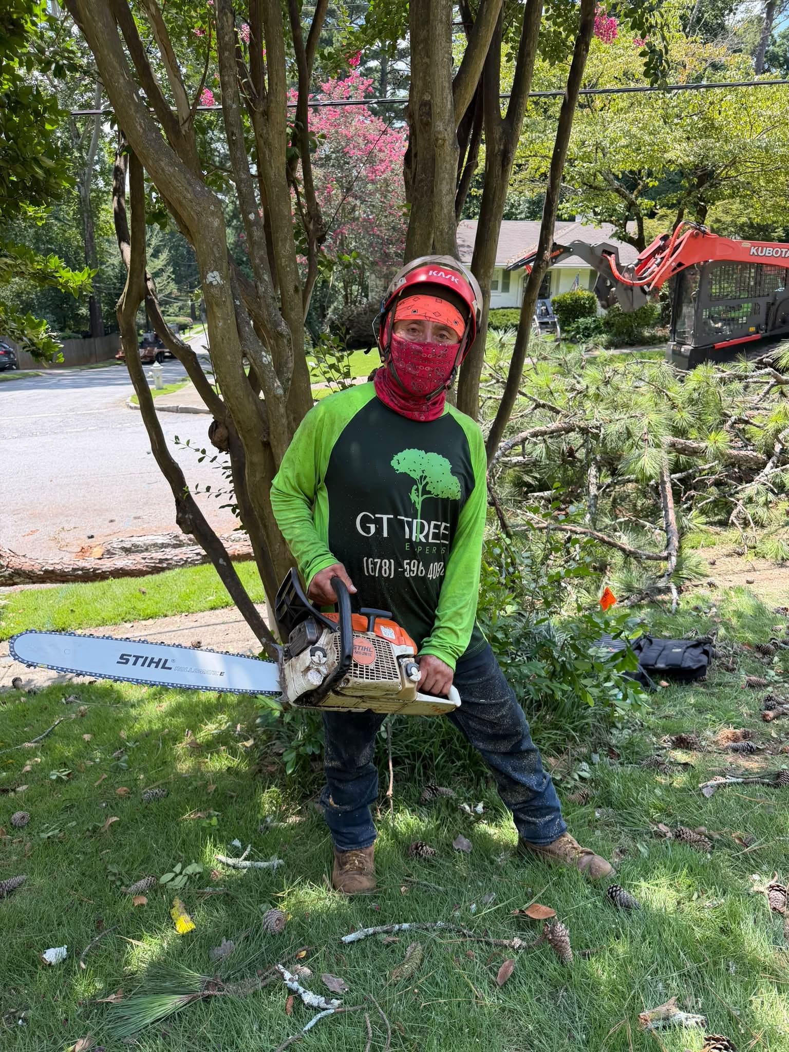 GT Tree Experts - Business Photo