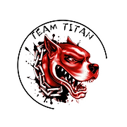 Titan Performance and Fitness - Logo