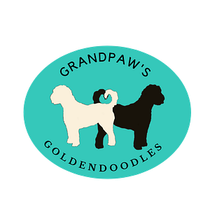 Grandpaw's Golden Doodles