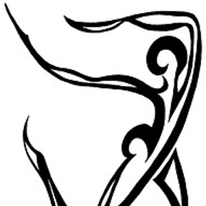 Alyssa Northrop Therapeutic Massage & Nutrition Counseling - Logo