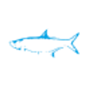 Marina Marathon at Tarpon Creek - Logo