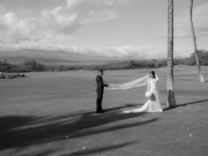 Apricity Wedding Photography & Videography - Logo