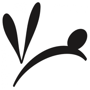 Rabbit Hill Inn - Logo
