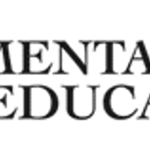 Mentalizer - Logo