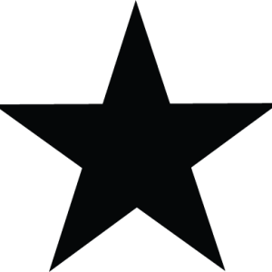 Lone Star Dog Ranch - Logo