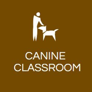 The Canine Classroom