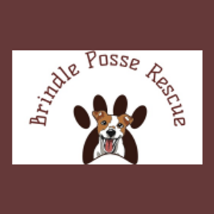Brindle Posse Rescue, Inc - Logo