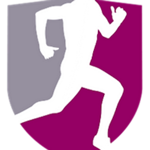 Scottsdale Therapeutic & Sports Massage - Logo