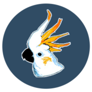 Parrot Structural Services LLC - Logo