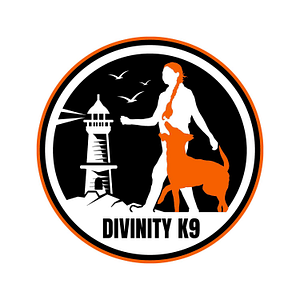 Divinity K9 - Logo