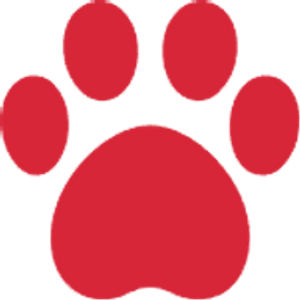 Bark44