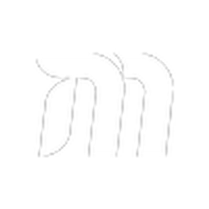 Badger Sports Wear - Logo