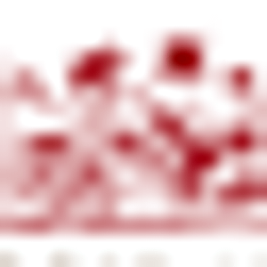 Mt. Woodson Castle - Logo