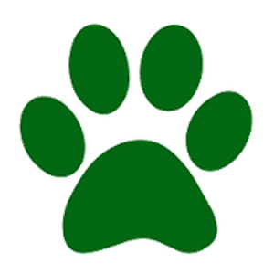 Backyard Dogcare & Boarding , Inc