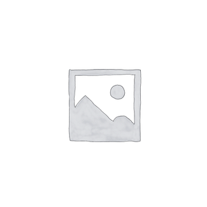 Barefoot Space, LLC - Logo
