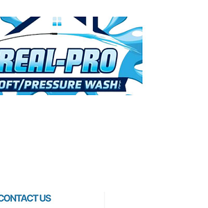Real-Pro Soft/Pressure wash llc - Logo