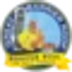 Great Barrier Roof - Logo
