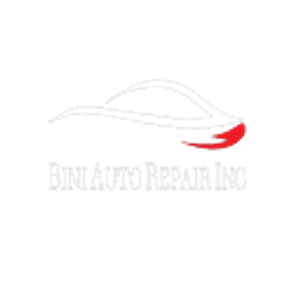 BiniAutoRepairINC - Logo