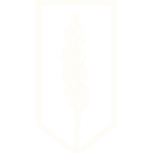 Stoic Brews Alternative - Logo