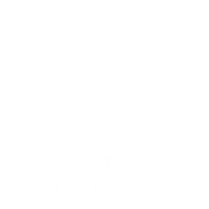 Metro Investigator LLC - Logo