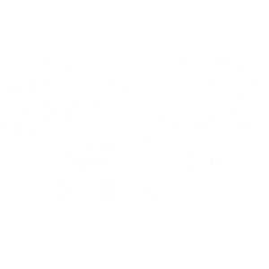 One Wave Surf School - Logo