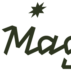 il Mago