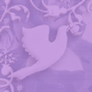 Ann McKenzie-Wedding Officiant- Raleigh - Logo