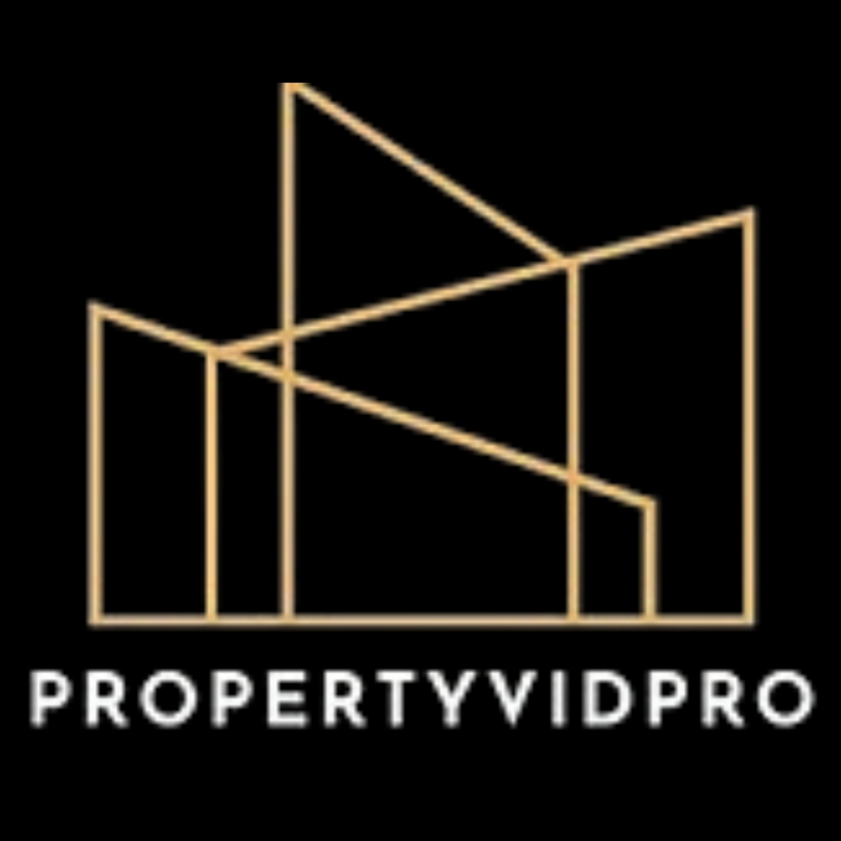 PropertyVidPro - Logo