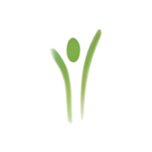 Holisitic Medical Wellness - Logo