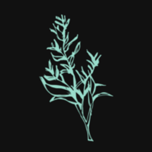Sage Fine Flowers - Logo