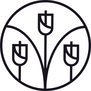 MAE Studio - Logo