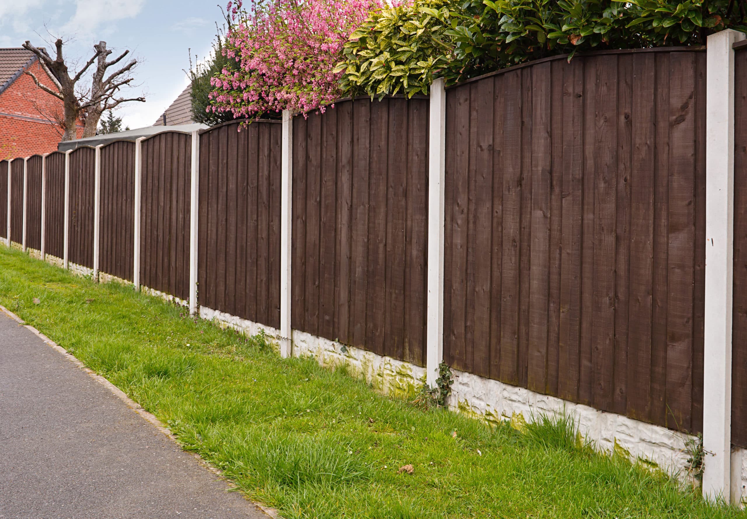 All Over Fence - Business Photo
