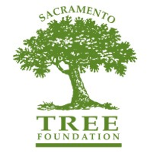 Urban Wood Rescue - Logo