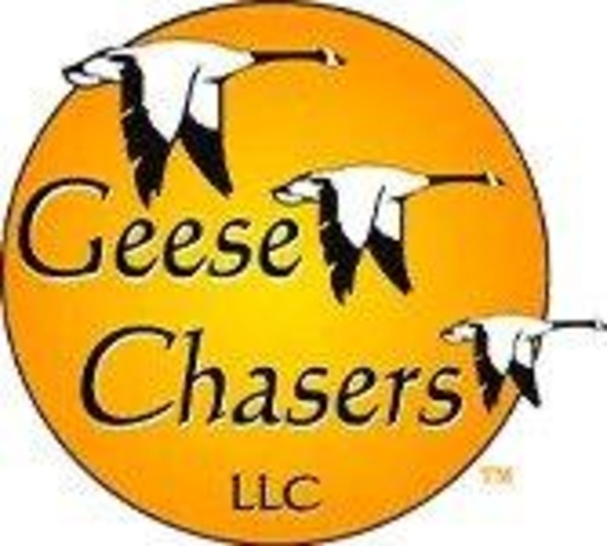 Geese Chasers - Logo
