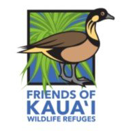 Kilauea Lighthouse - Logo
