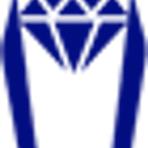 Lyles De Grazier Co Inc