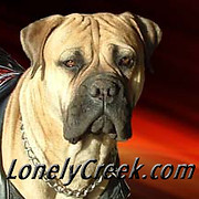 LonelyCreek Bullmastiff - Logo