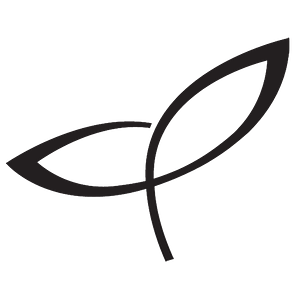 Cosmo Prof - Logo