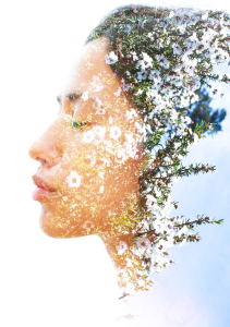 Herbal infused therapy