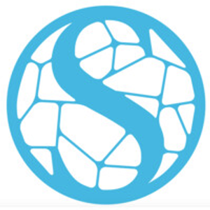 Stone & Co. of Meybohm Real Estate - Logo