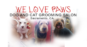 We Love Paws Pet Grooming Salon - Logo