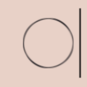 Mindful Movement Physical Therapy - Logo