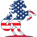 Stallion Restoration & Roofing
