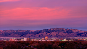 Premier Realty Partners - Realty One of NM