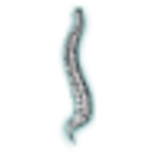 Advanced Interventional Pain Management - Logo